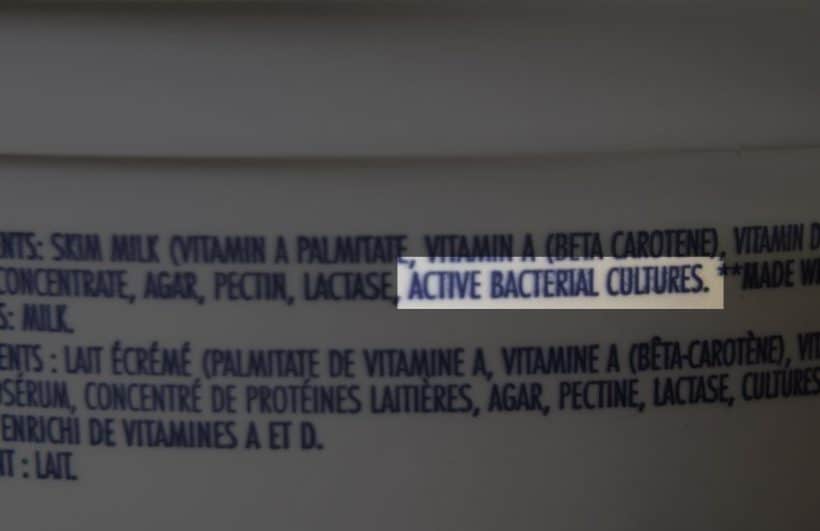 Instant Pot Yogurt Recipe: yogurt starter must have Active Bacterial Cultures