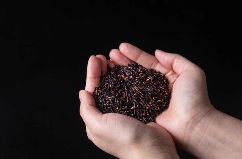 What is wild rice: wild rice is an edible nutrient-dense, protein-rich, high dietary fiber grain harvested from a type of aquatic grass.